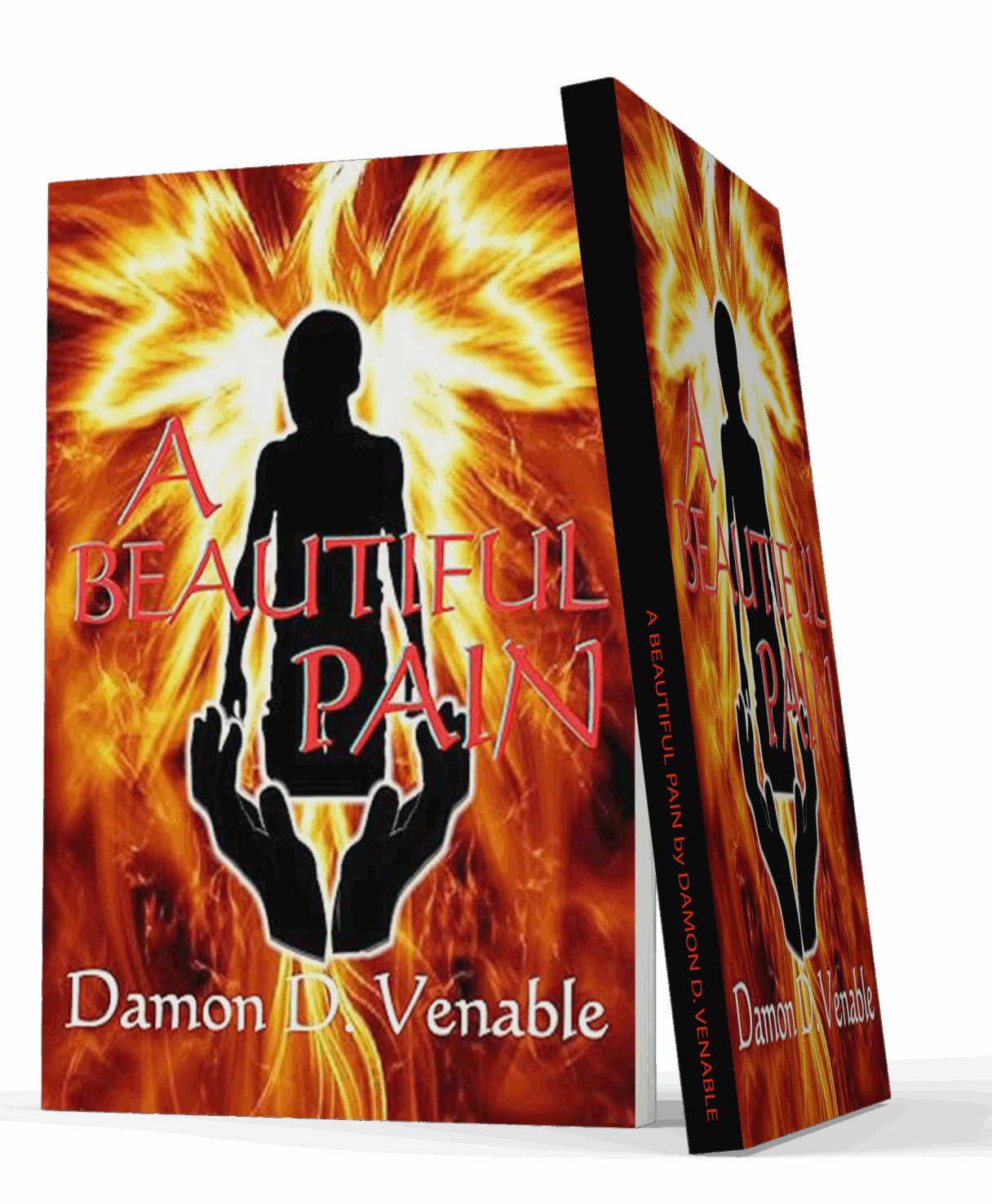 A Beautiful Pain by Damon D. Venable